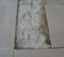 Blanc en surface apres avoir enlev&eacute; le carreau