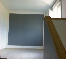 Peinture d&eacute;gagement