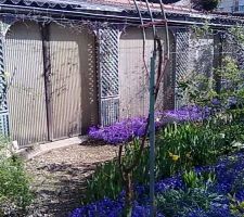 Abri de Jardin au nord du jardin faisant tout le long du mur