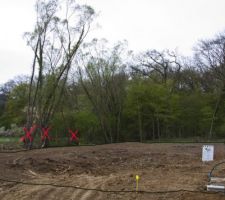 Ci joint notre terrain d&eacute;tour&eacute;, &agrave; noter que les arbres marqu&eacute;s d'une croix rouge seront abattus par le lotisseur...