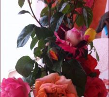 Premier bouquet de roses