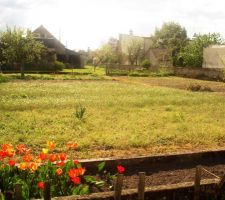 Photo du terrain depuis la rue, vers l'ouest.