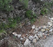 Une petite soeur à la jardinière en pierre