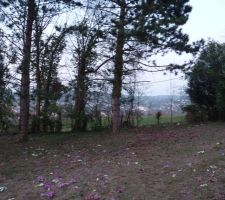 Notre futur entr&eacute;e &agrave; droite