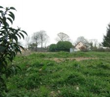 Vue depuis le fond du terrain