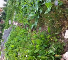 Un aper&ccedil;u des fondations d&eacute;j&agrave; pr&eacute;sentes sur le terrain