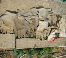 Dommages collateraux...