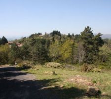 Abattage des arbres en peripherie pour laisser passer de la lumiere et surtout du soleil en hiver, et aussi profiter de la vue.