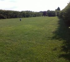 Terrain