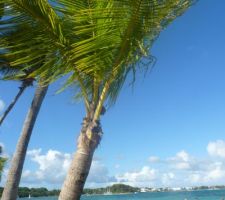 Voyage en guadeloupe, plage de la Caravelle
