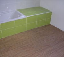 Salle de bain- fai&euml;nce et sol