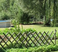 2008 AVANT CHANTIER BAS DU TERRAIN