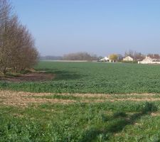 Terrain Ch&acirc;tres 797m&sup2;