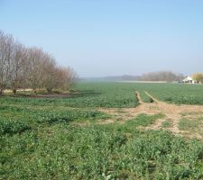 Terrain Ch&acirc;tres 797m&sup2;