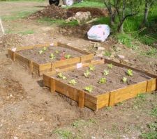 Exemple de Carré de jardin