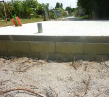Traitement anti-termites
