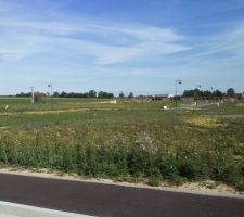 Vue ensemble lotissement