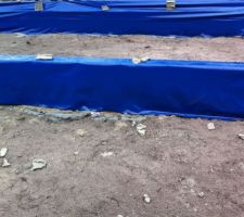 Film anti termites