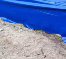Film anti termites
