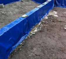 Film anti termites