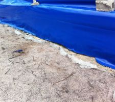 Film anti termites