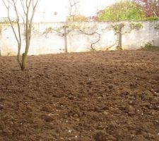 Nous en avons aussi profité pour refaire le jardin; la periode etait bonne et surtout le frere de cell dispo (et oui il est jardinier mais à l'ancienne pas d'outil motorisé, tout dans le respect de la terre)