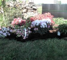 Massif de rhodos en cours