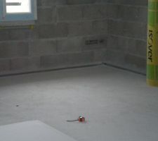 Lisse basse