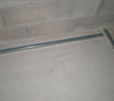 Lisse basse