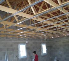 Fourrure du plafond