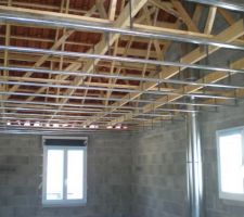 Fourrure du plafond