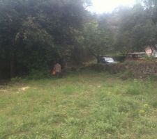 Vue de la 1ere terrasse
vue vers le sud
Je tourne le dos a l entree des voitures portail 4 metres derriere.
A droite mur de limites avec voisin.
On peut voir que la partie sud du terrain est occup&eacute;e par de grand arbres ( chenes entre autres) et ceux sur les 3 premieres terrasses
- tres belle ombres en &eacute;t&eacute;
- En hivers ne perdent pas leurs feuilles (attention au deport de l ombre)