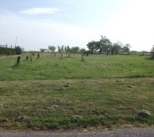 Voici notre terrain : surface 10 ares