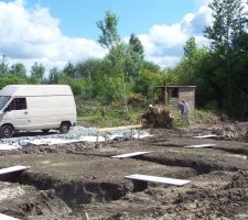 Abattage du gros tétard