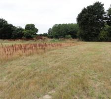 7 juillet, signature du terrain