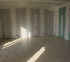 Carrelage pieces principales