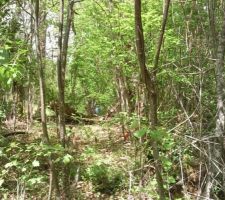 On passe par ou chef!!!!