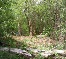 Tiens on voit le jour