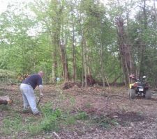 On est dedans (le bois)