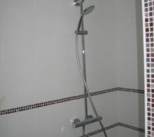 Canne de douche