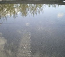 La piscine du toit terrasse!