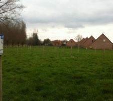 Delimitation de la parcelle