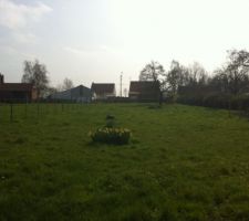 Vue de l' autre bout du terrain