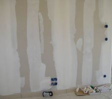 Un mur du salon