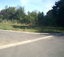 Repérage du terrain; il nous plait mais il est cher. 1128 M2