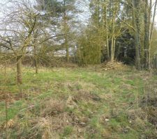 Vue du s&eacute;jour de la future maison.
on profite de la terre molle pour arracher, tailler bruler...