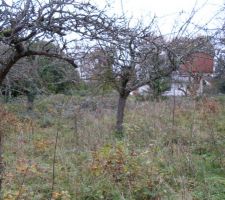 Voici une photo prise en hiver