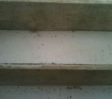 L'escalier ext&eacute;rieur : marches brutes