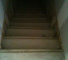 Voil&agrave; l'escalier int&eacute;rieur qui nous pose un probl&egrave;me