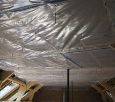 Polyane au plafond